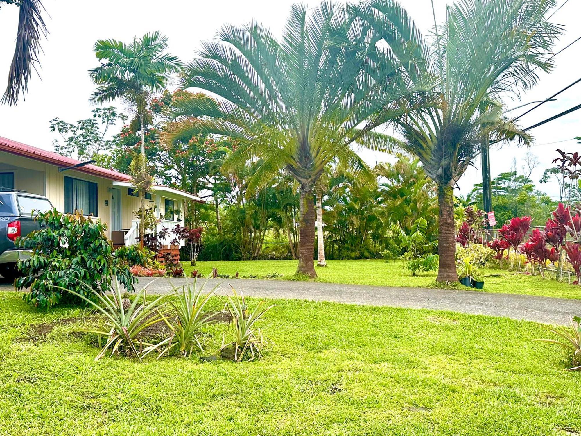 Apartamento Big Island Getaway Pahoa Exterior foto